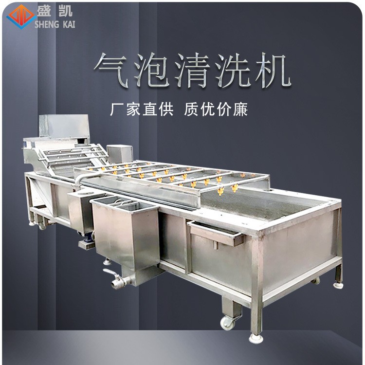 厂家定制小型果蔬气泡清洗机 预制菜中央厨房清洗设备 中药清洗机图3
