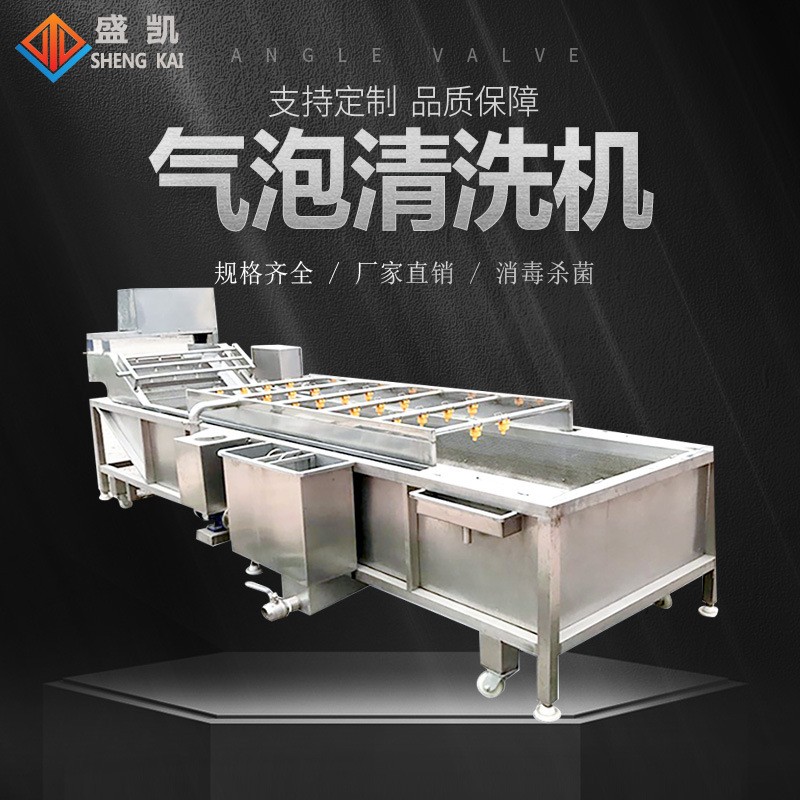 大型蔬菜清洗机 多功能全自动果蔬喷淋式洗菜机图5