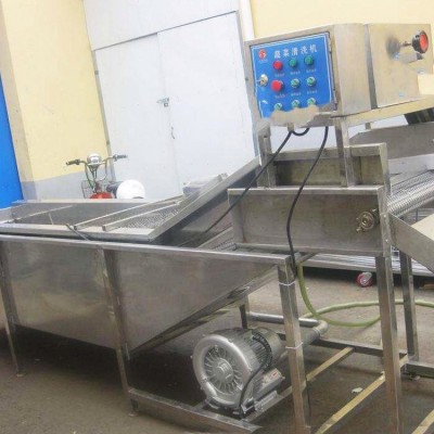 高压气泡水果清洗设备 商用洗菜机食品去污清洗机