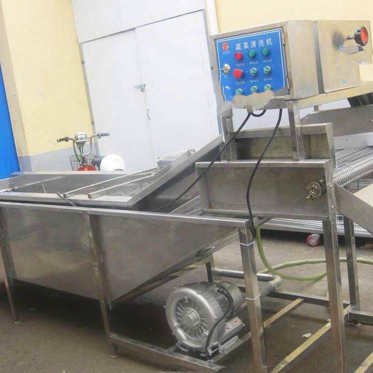 高压气泡水果清洗设备 商用洗菜机食品去污清洗机图3
