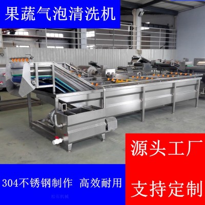 菌菇类山野菜喷淋气泡清洗加工流水线 软包装袋洗袋烘干机 松石