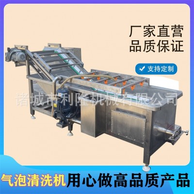 全自动果蔬食材清洗机 大姜清洗泥沙机 小白菜油菜气泡清洗机