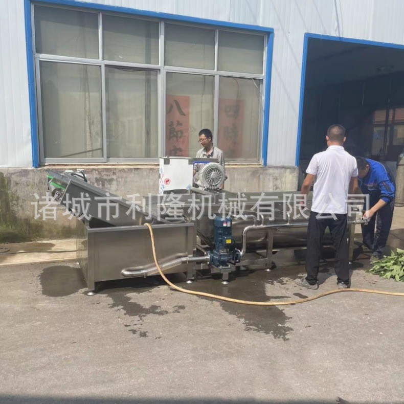 全自动果蔬食材清洗机 大姜清洗泥沙机 小白菜油菜气泡清洗机图4