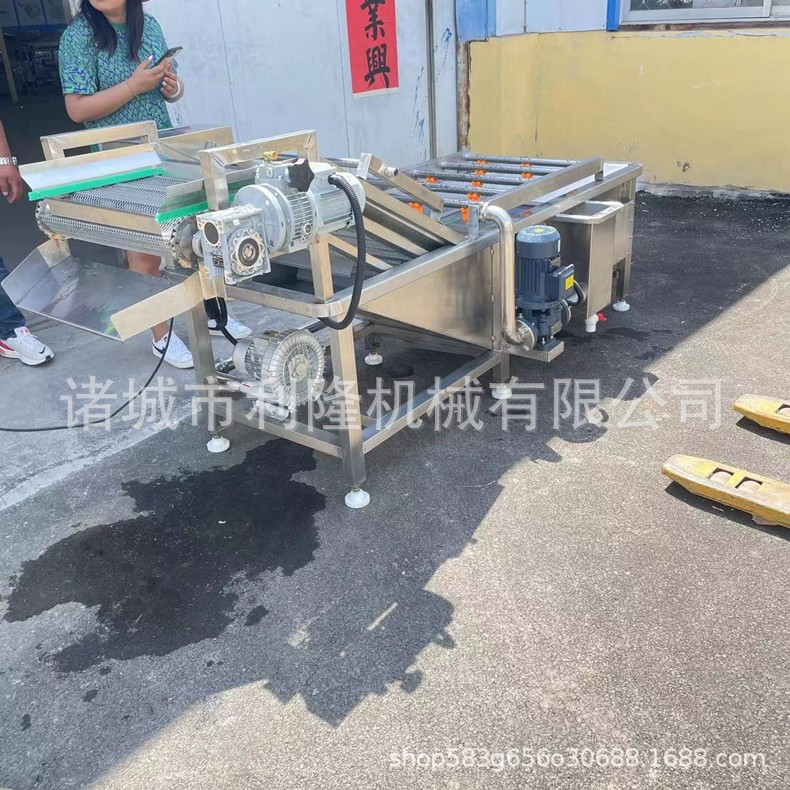 全自动果蔬食材清洗机 大姜清洗泥沙机 小白菜油菜气泡清洗机图5