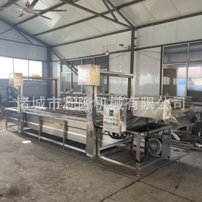 全自动果蔬食材清洗机 大姜清洗泥沙机 小白菜油菜气泡清洗机图3