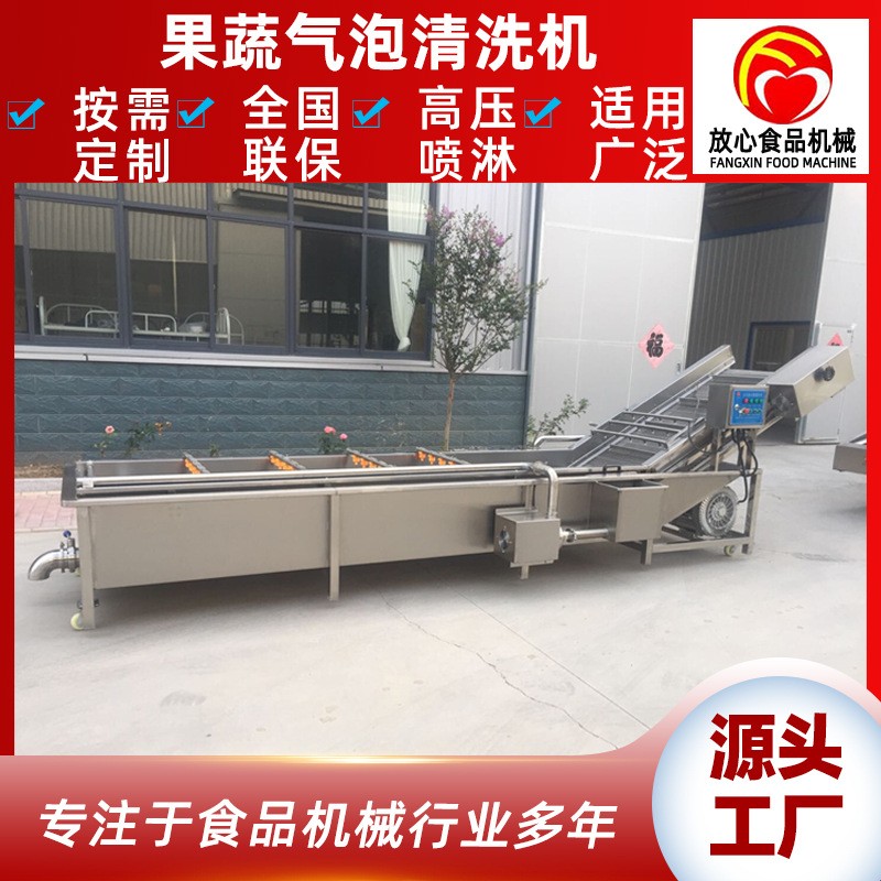 大型蔬菜清洗机 全自动不锈钢气泡清洗机 多功能果蔬喷淋式洗菜机图3