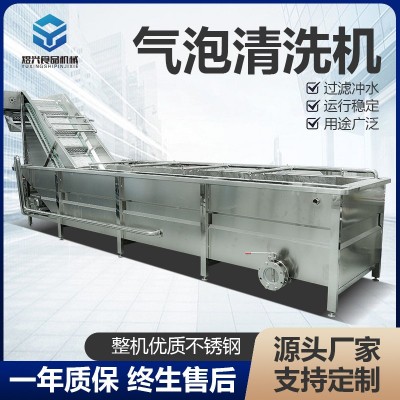 洗菜机商用果蔬清洗机全自动气泡清洗机去除农药蔬菜洗菜机可批发