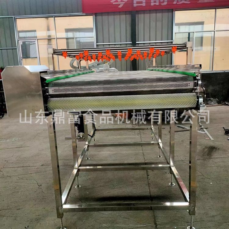牡蛎毛辊清洗机全自动不锈钢毛辊清洗机大姜根茎类蔬菜毛刷清洗机图3