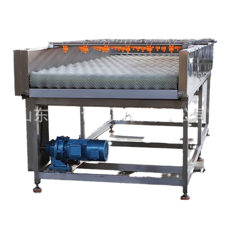 牡蛎毛辊清洗机全自动不锈钢毛辊清洗机大姜根茎类蔬菜毛刷清洗机图5