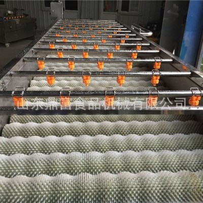 牡蛎毛辊清洗机全自动不锈钢毛辊清洗机大姜根茎类蔬菜毛刷清洗机