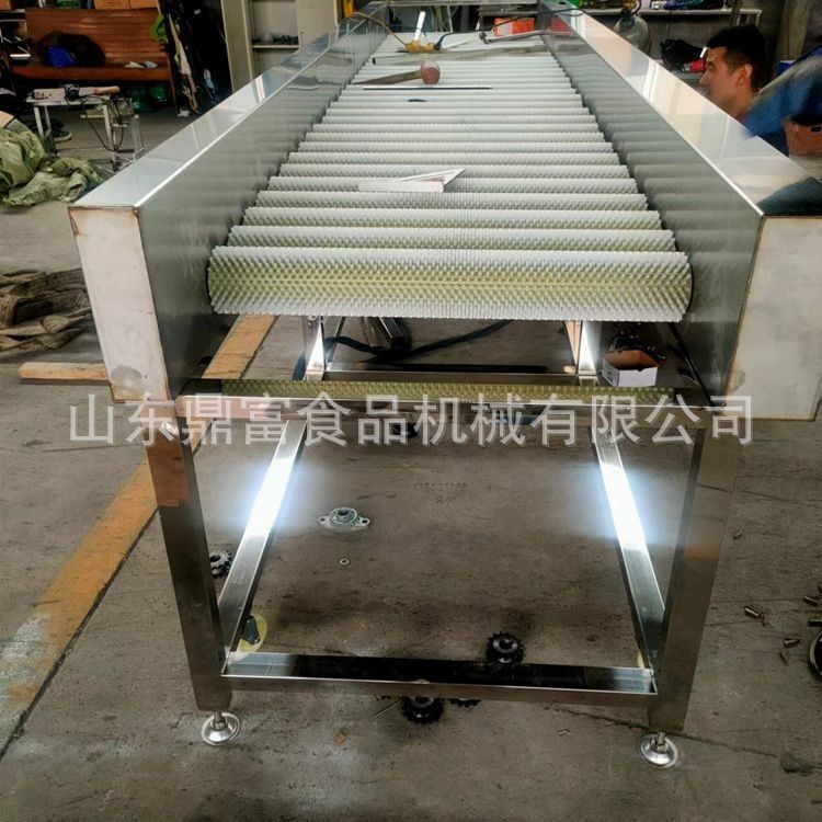 牡蛎毛辊清洗机全自动不锈钢毛辊清洗机大姜根茎类蔬菜毛刷清洗机图2