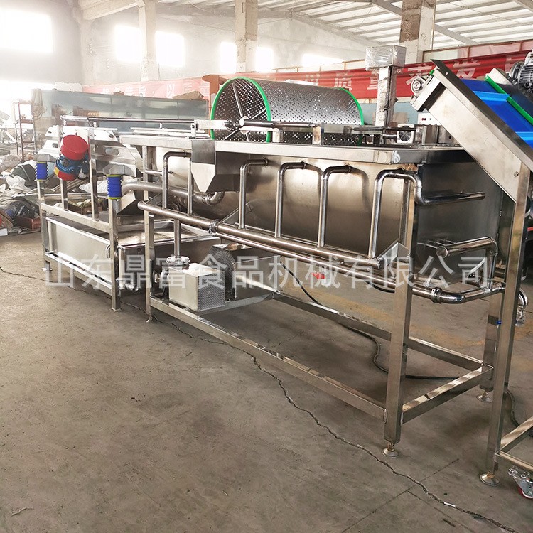 厂家自产大型鼓泡旋流水式大型洗菜机 供应蔬果清洗机 涡流洗菜机