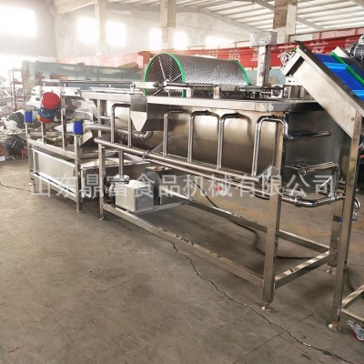 厂家自产大型鼓泡旋流水式大型洗菜机 供应蔬果清洗机 涡流洗菜机