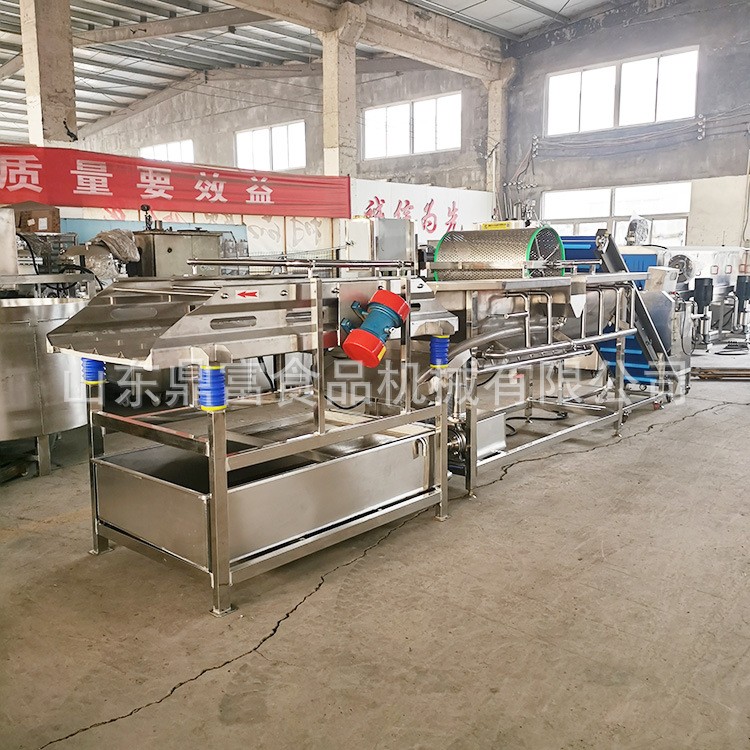 厂家自产大型鼓泡旋流水式大型洗菜机 供应蔬果清洗机 涡流洗菜机图2