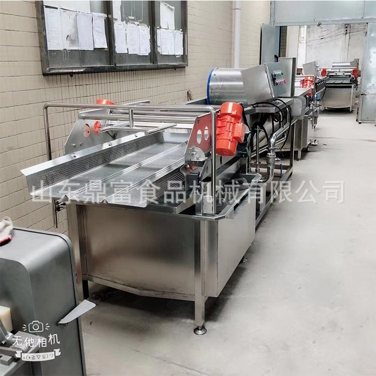 厂家自产大型鼓泡旋流水式大型洗菜机 供应蔬果清洗机 涡流洗菜机图3