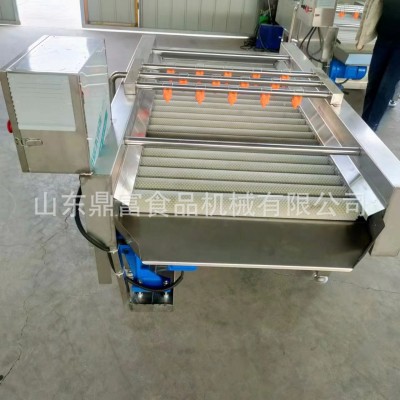 新鲜叶菜类清洗机 大批量蔬菜叶子清洗设备 鼓泡清洗机配高压喷淋