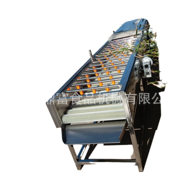 新鲜叶菜类清洗机 大批量蔬菜叶子清洗设备 鼓泡清洗机配高压喷淋图5