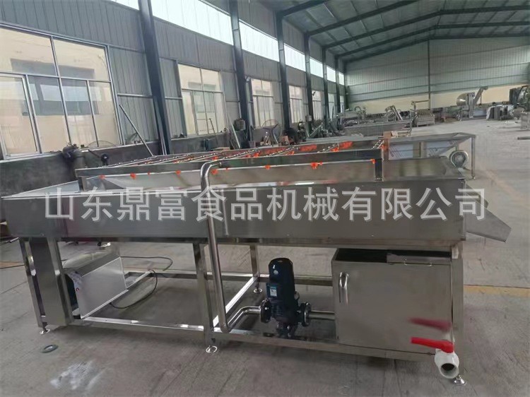 新鲜叶菜类清洗机 大批量蔬菜叶子清洗设备 鼓泡清洗机配高压喷淋图4