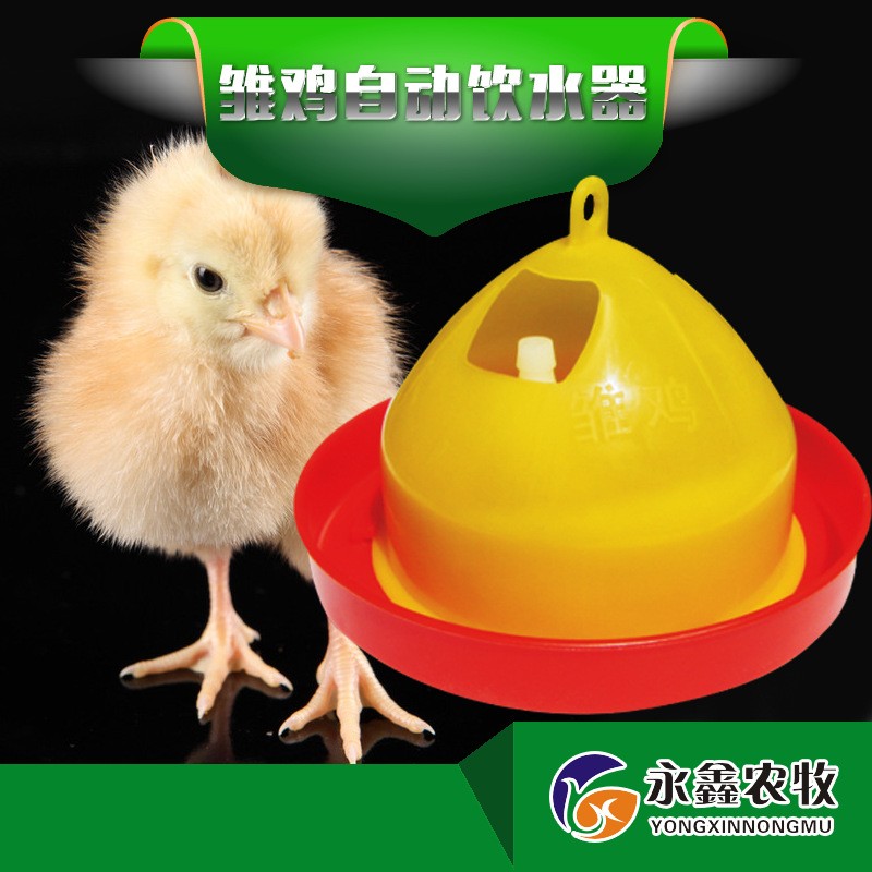 雏鸡自动饮水器 小鸡喝水自动饮水壶 育雏鸡饮水桶鸡用自动饮水器图3