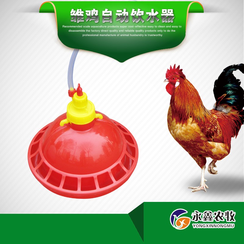雏鸡自动饮水器 小鸡喝水自动饮水壶 育雏鸡饮水桶鸡用自动饮水器