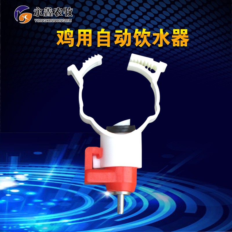 养殖鸡用水桶 养鸡用饮水器6kg 鸡自动饮水器设备 鸡水壶养殖设备图5