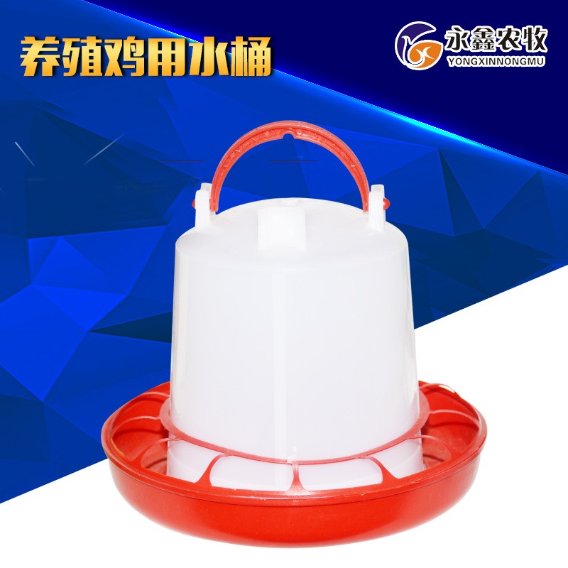 养殖鸡用水桶 养鸡用饮水器6kg 鸡自动饮水器设备 鸡水壶养殖设备
