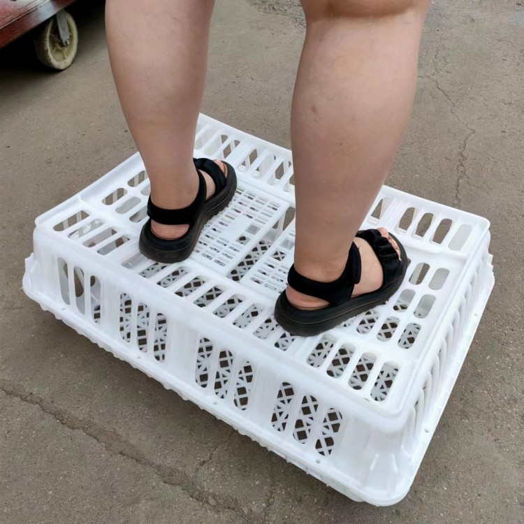 批发塑料运输鸡筐 长途运输装鸡筐子 运鸡鸭鹅筐子 运输屠宰笼子图2