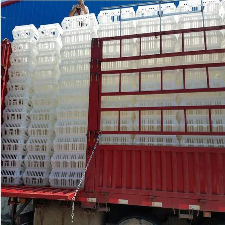 批发塑料运输鸡筐 长途运输装鸡筐子 运鸡鸭鹅筐子 运输屠宰笼子图5