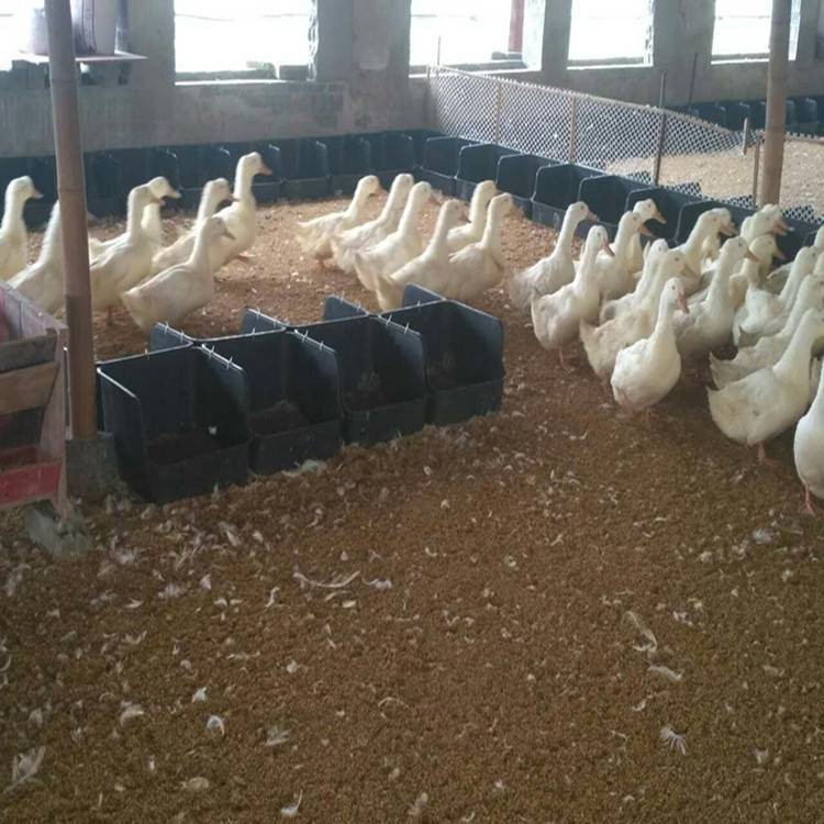 无底鸭蛋窝 鸭子生蛋筐 黑色加厚鸭蛋窝 种鸭产蛋窝批发零售