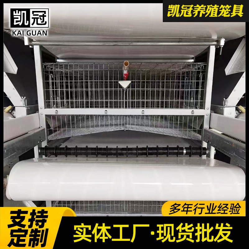 框架蛋鸡笼重叠式鸡笼设备养鸡场用全套鸡笼低碳钢丝全自动鸡笼子图4