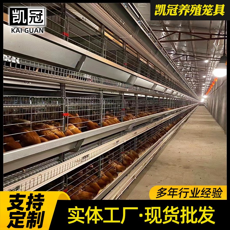 框架蛋鸡笼重叠式鸡笼设备养鸡场用全套鸡笼低碳钢丝全自动鸡笼子图2