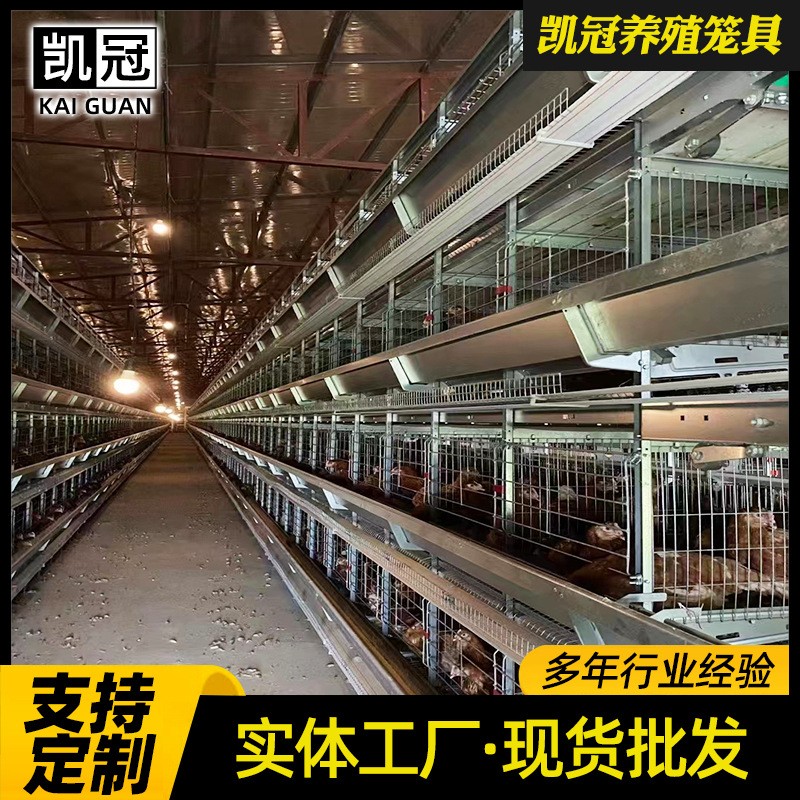 框架蛋鸡笼重叠式鸡笼设备养鸡场用全套鸡笼低碳钢丝全自动鸡笼子图3