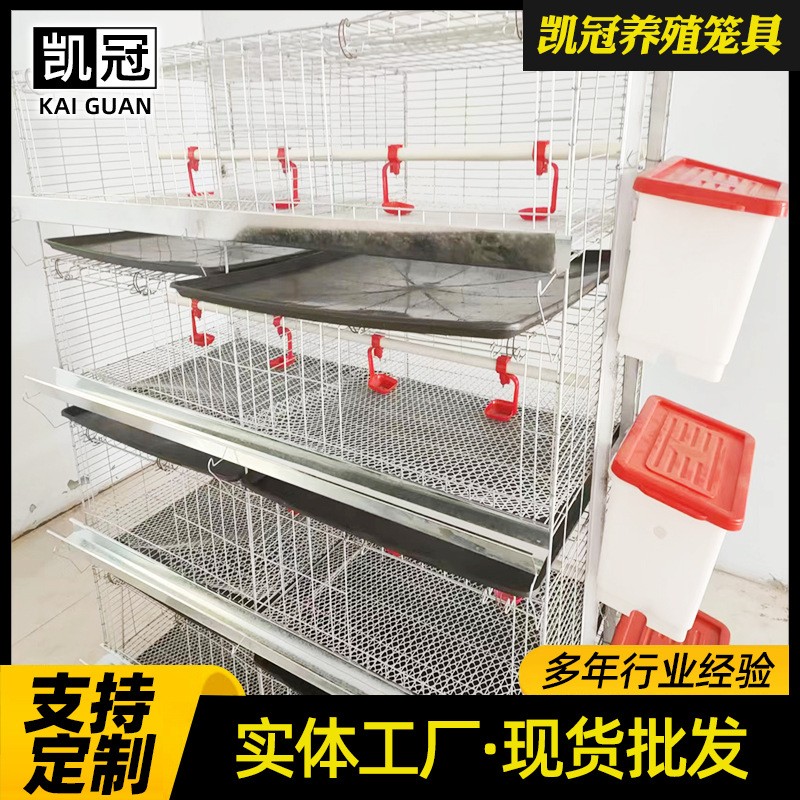 立体育雏鸡笼四层小鸡笼子小面积鸡舍养殖设备加粗加密育雏饲养笼图3