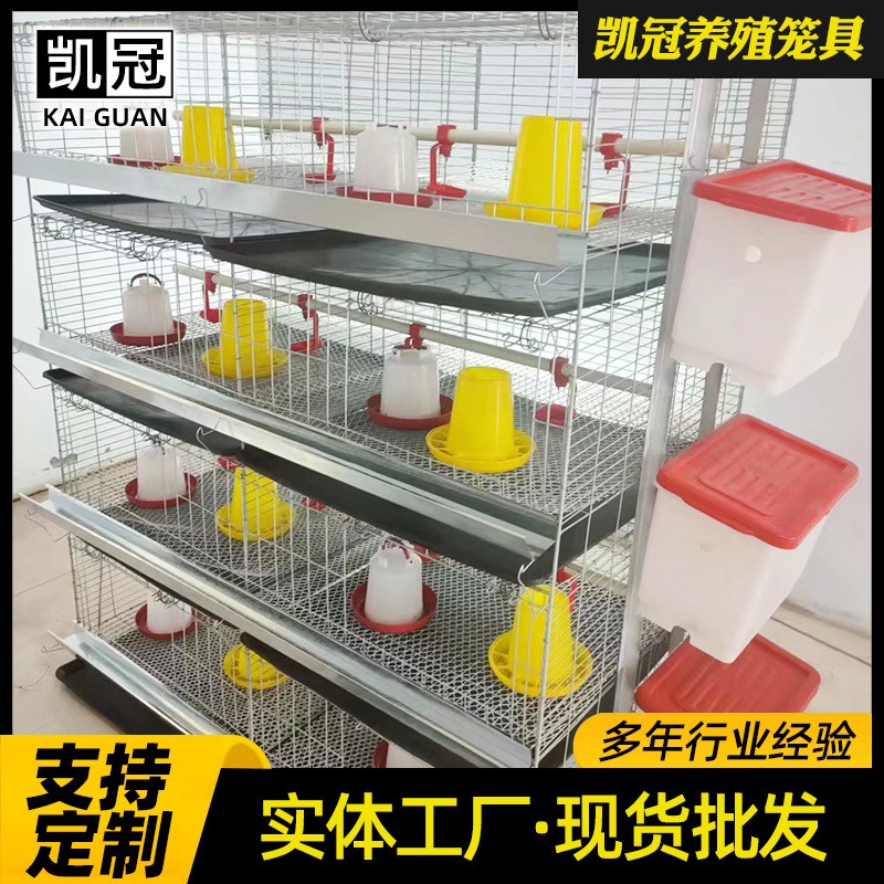 厂家供应育雏鸡笼 多层小鸡笼子蛋鸡育雏笼 畜牧养殖专用饲养设备图3