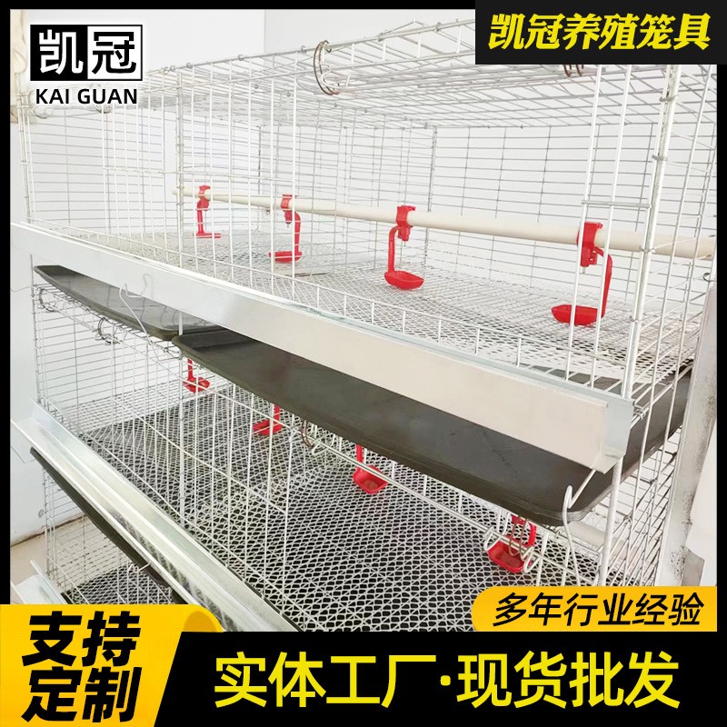 厂家供应育雏鸡笼 多层小鸡笼子蛋鸡育雏笼 畜牧养殖专用饲养设备图2