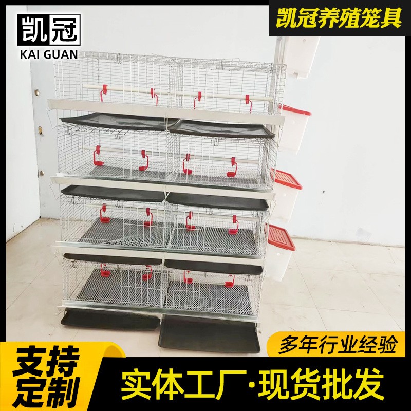 厂家供应育雏鸡笼 多层小鸡笼子蛋鸡育雏笼 畜牧养殖专用饲养设备图4