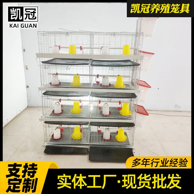 蛋鸡育雏笼阶梯式小鸡笼子雏鸡笼养鸡场设备热镀锌立式四层育雏笼图2