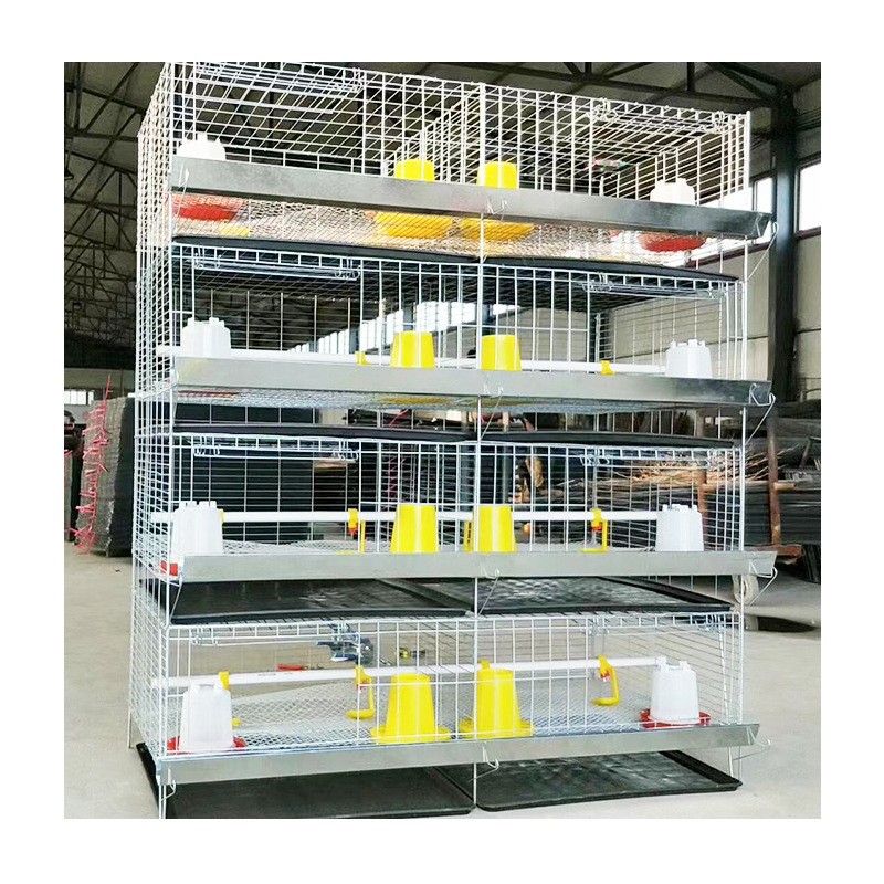 蛋鸡育雏笼阶梯式小鸡笼子雏鸡笼养鸡场设备热镀锌立式四层育雏笼图5