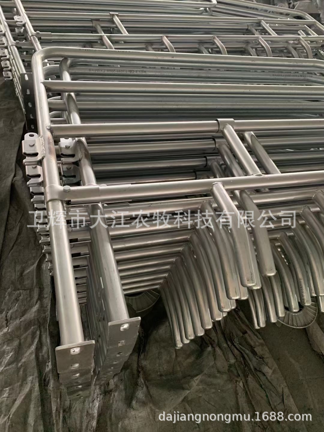 母猪场产床保育两用母猪分娩床单体复合板定位栏限位栏养猪殖设备图4