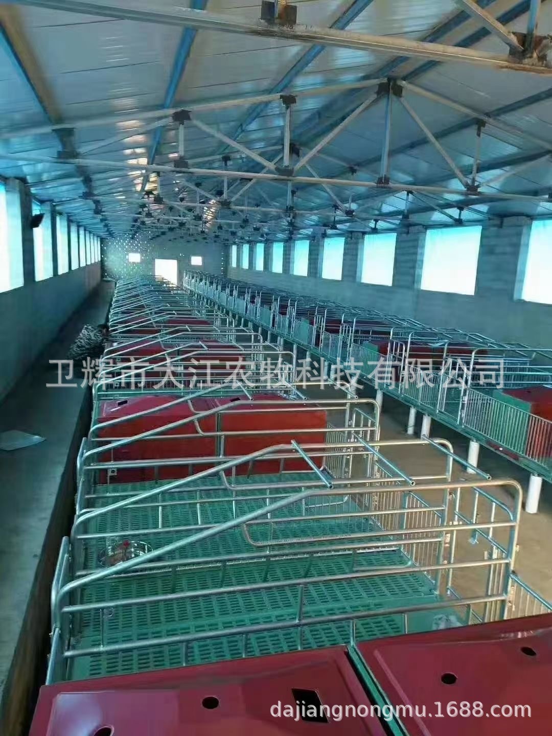 母猪场产床保育两用母猪分娩床单体复合板定位栏限位栏养猪殖设备图2