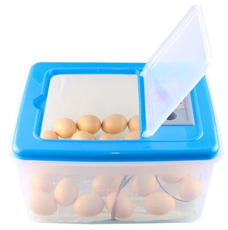 伊科贝特孵化机家用型20枚48枚鸡鸭鹅水床孵化器箱孵蛋器包邮图5