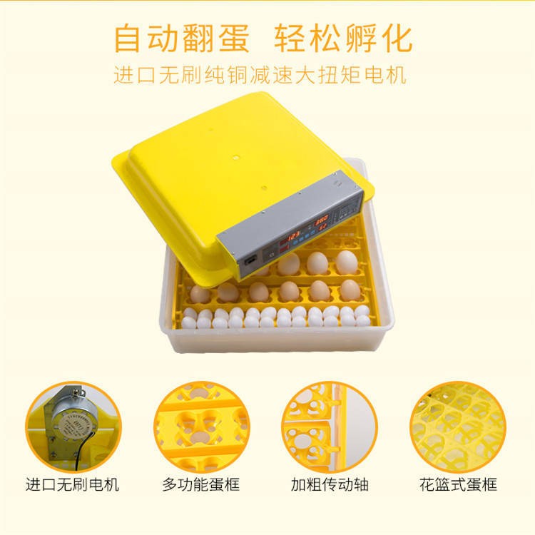 36枚48枚56枚孵化机全自动小型家用孵蛋器鸡鸭鹅鸽子鸟蛋智能孵化图3