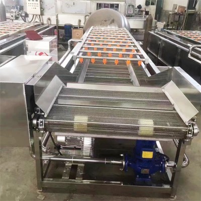 大型蔬菜清洗机 多功能全自动果蔬喷淋式洗菜机