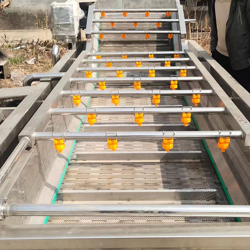 大型蔬菜清洗机 多功能全自动果蔬喷淋式洗菜机图2