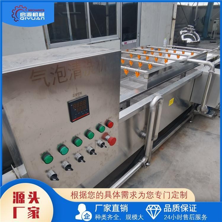 启源机械 无花果气泡清洗机 喷淋式百香果清洗设备 山楂清洗线图4