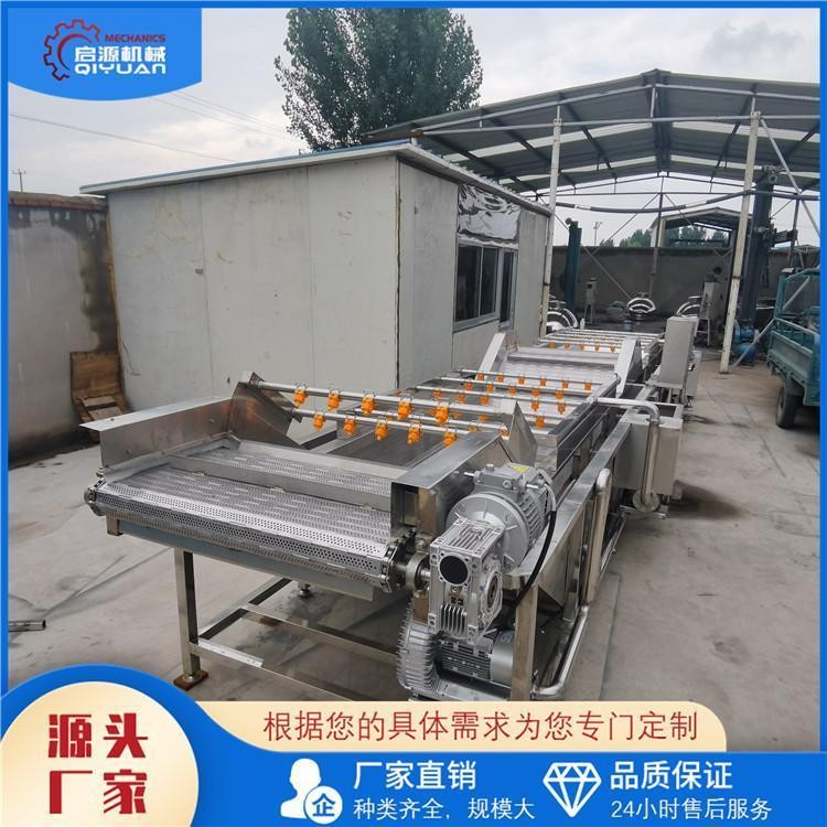 启源机械 无花果气泡清洗机 喷淋式百香果清洗设备 山楂清洗线图2