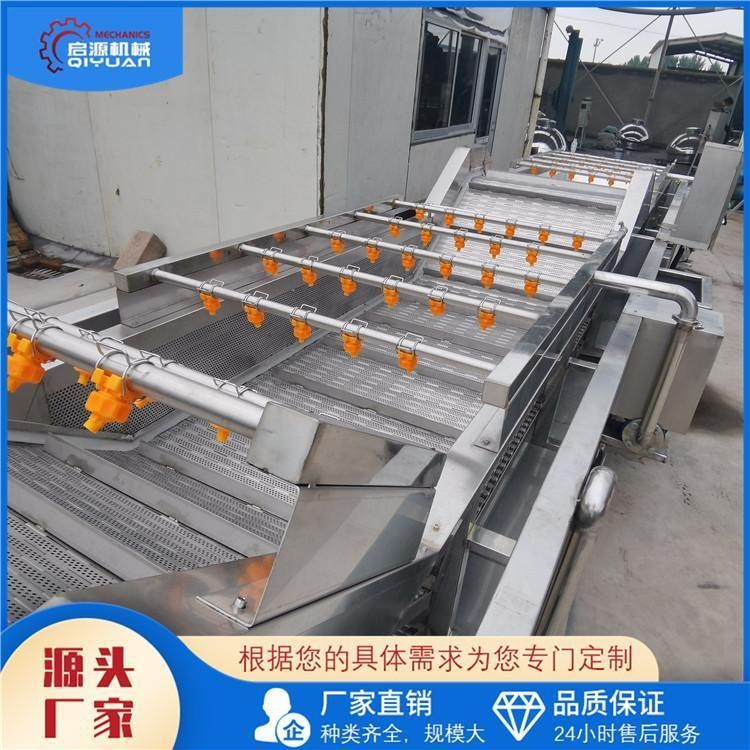 启源机械 无花果气泡清洗机 喷淋式百香果清洗设备 山楂清洗线图5