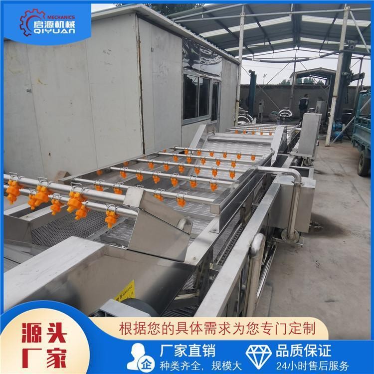 启源机械 茼蒿喷淋式气泡清洗机 野菜土豆水果蔬菜清洗设备图3