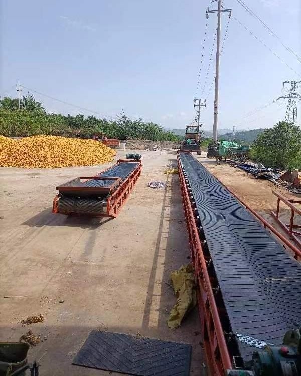 食品厂蔬菜水果分拣输送机 水果樱桃不锈钢平台输送设备图4