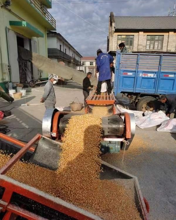 移动式调速输送机 不锈钢皮带传送机 操作简单经久耐用图5